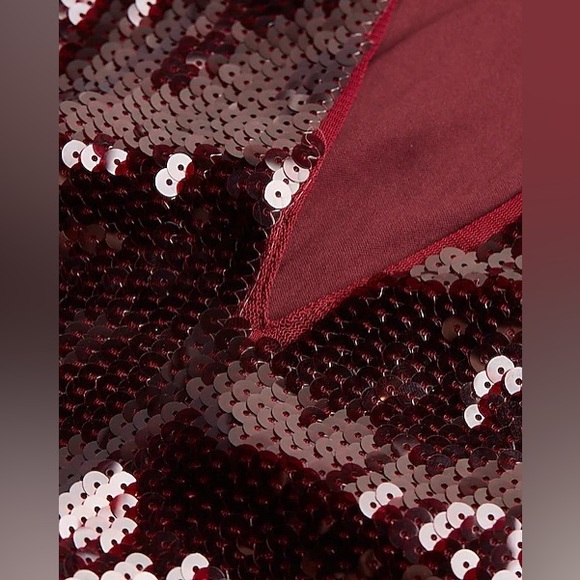 ISO | Sequin Deep V-Neck Thong Bodysuit | Pomegranate | Size L or M - Picture 3 of 3